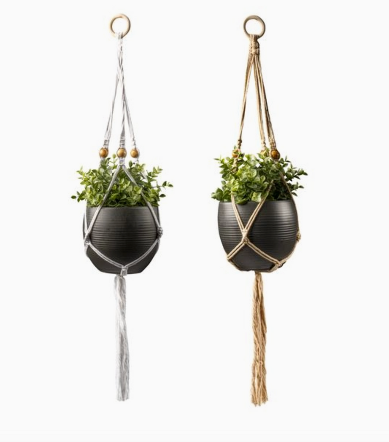 Let's Hang Plant Hanger